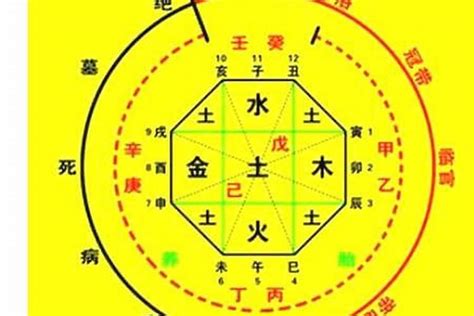 八字属性|生辰八字算命、五行喜用神查詢（免費測算）